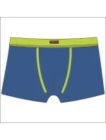 Pánské boxerky model 21284563 BAMBUS - Redo Pánské boxerky model 21284563 BAMBUS - Redo