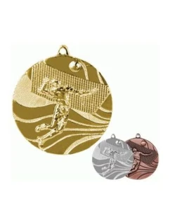 medal model 21829759