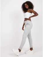 Tepláky TW DR 1033.16P šedá Tepláky TW DR 1033.16P šedá