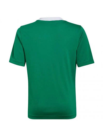 Dětské tréninkové tričko Entrada 22 Jersey Jr model 17113227 - ADIDAS