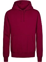 Pánská mikina s kapucí 40. berry model 22418700 - Promodoro Pánská mikina s kapucí 40. berry model 22418700 - Promodoro