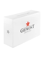 Bezdrátová sluchátka GIEWONT RealSound PRO ANC ENC GWS800-2 White