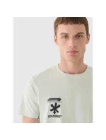 Pánské tričko s potiskem 4F 4FRAW24TTSHM2603-47S