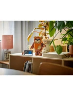 LEGO Star Wars 75430 Ewokova branka