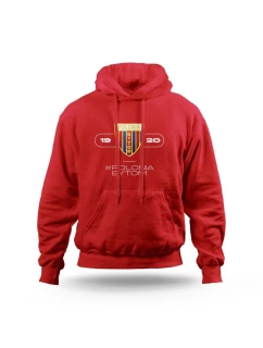 Mikina Polonia Bytom model 21756607