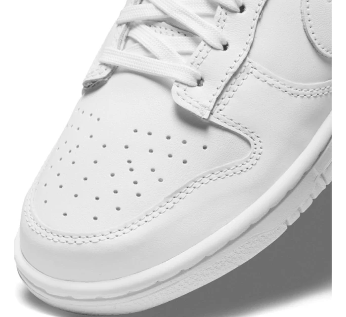 Boty Nike Dunk Low W DD1503-109