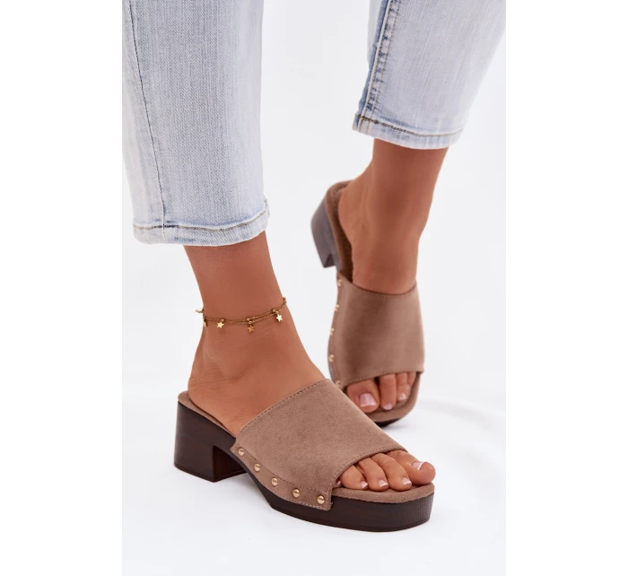 Dámské pantofle na klínku s zlatými sponami tmavě béžové Davessa