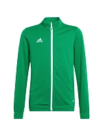 Entrada 22 Jr dětská mikina HI2138 - Adidas