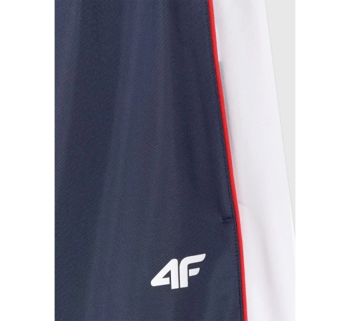 Pánské tepláky typu jogger model 21815748 - 4F Pánské tepláky typu jogger model 21815748 - 4F