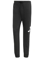 Kalhoty adidas Essentials Big Logo French Terry M IN6163