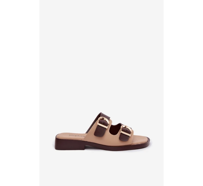 Dámské nazouváky se zlatými sponami béžovo-hnědé Danelle