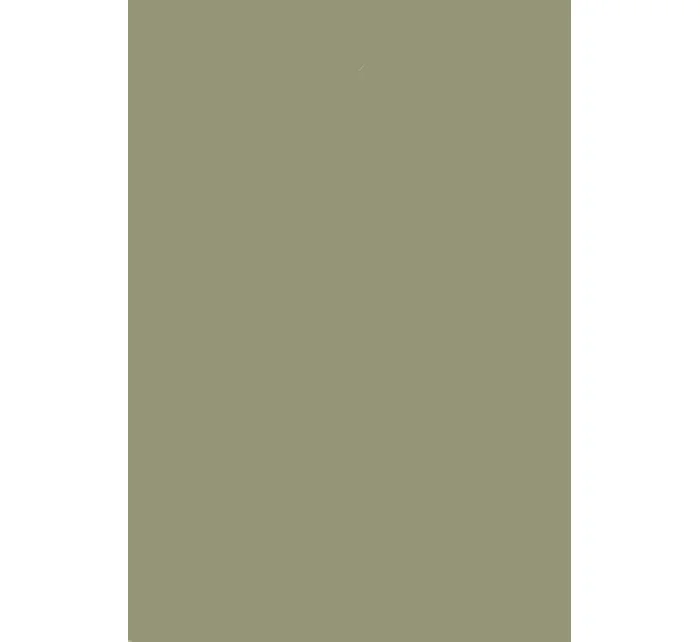 Dámské ponožky 073 - Steven Dámské ponožky 073 - Steven