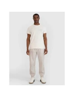 Pánské tričko s potiskem model 21433416 - 4F Pánské tričko s potiskem model 21433416 - 4F