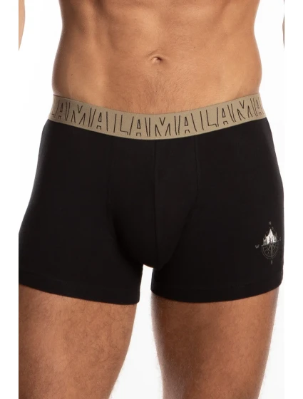 PÁNSKÉ ŠORTKY M-1058SZG 2-PACK