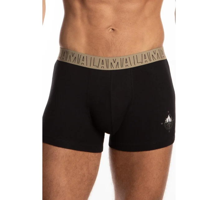 PÁNSKÉ ŠORTKY model 21051558 2PACK - Lama