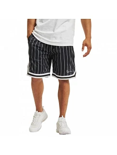 Karl Kani Small Signature Pinstripe Mesh Shorts M 6014920