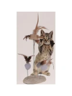 KOČIČÍ HRAČKA PEŘÍ NA PRUŽINÁCH NA ŠKRABADLE 14X33CM