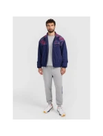 Pánská mikina s kapucí model 21877677 - 4F Pánská mikina s kapucí model 21877677 - 4F