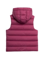 Vesta Jr HJZ22 model 17677402 53S - 4F