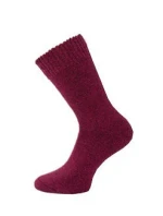 Thermo ponožky 3542 model 21339442 - WiK
