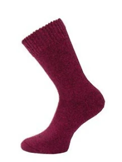 Thermo ponožky 3542 model 21339442 - WiK