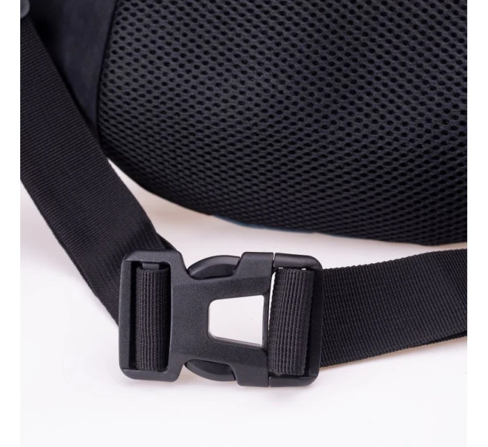 model 21356339 - Iguana