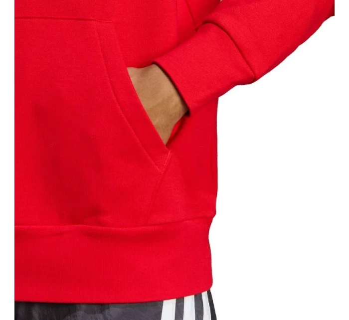 Mikina adidas Essentials French Terry Big Logo Hoodie M IC9365 Mikina adidas Essentials French Terry Big Logo Hoodie M IC9365