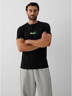 T-shirt regular z nadrukiem męski 4F 4FRAW26TTSHM4665-20S