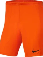 Pánská obuv Dry Park III NB K M BV6855 819 - Nike