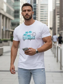 Tshirt męski z nadrukiem biały model 22136483 - FashionStreet