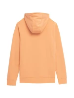 Pánská mikina M266 M 4FSS23TSWSM266 64S - 4F