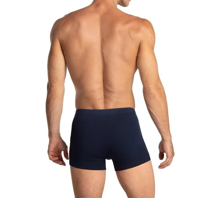 Boxerky model 21178410 A'3 3XL4XL - Lama