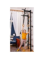 BENCHK 721B A076 GYNASTICKÝ STŮL S KOVOVOU TYČÍ A PŘÍSLUŠENSTVÍM PRO DĚTI