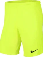 Pánská obuv Dry Park III NB K M BV6855 702 - Nike