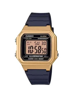 Hodinky CASIO W-217HM-9AVDF + krabice