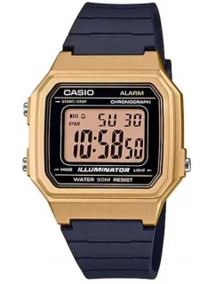 Hodinky CASIO W-217HM-9AVDF + krabice