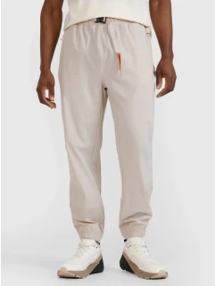 Pánské volnočasové kalhoty model 21433259 - 4F