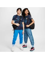 Nike Chelsea FC Academy Pro SS Top K PM Jr Shirt FQ0010-452