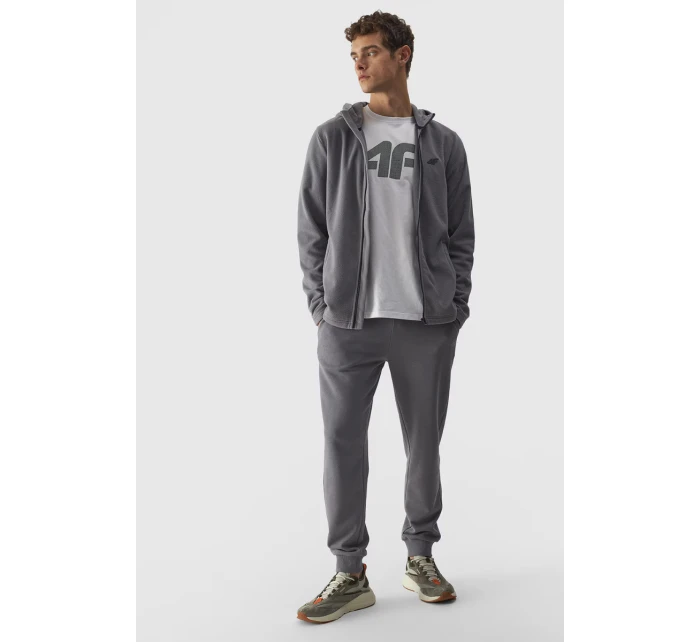 Pánský s kapucí Regular Šedý model 21674966 - 4F Pánský s kapucí Regular Šedý model 21674966 - 4F