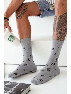 Pánské ponožky Avangard  3946 model 21762761 - Milena