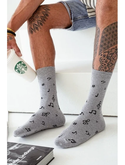 Pánské ponožky Avangard  3946 model 21762761 - Milena