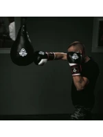 BOX 5 model 21437715 - DBX Bushido BOX 5 model 21437715 - DBX Bushido