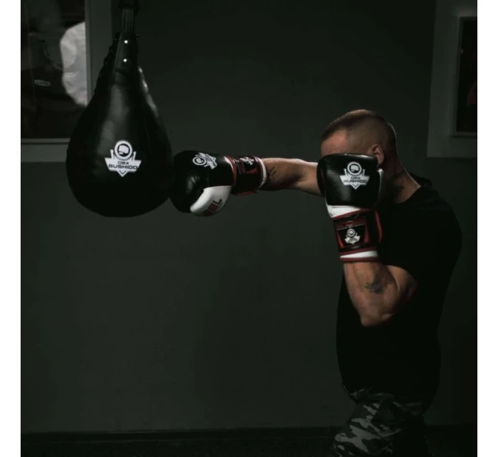 BOX 5 model 21437715 - DBX Bushido BOX 5 model 21437715 - DBX Bushido