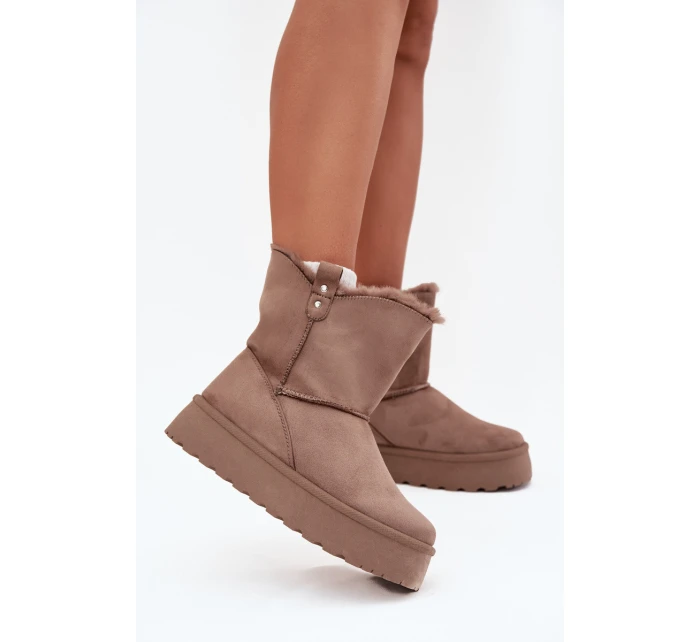 Dámské Sněhule Na Platformě S Kožíškem Tmavě Béžové model 21706852 - Boto Dámské Sněhule Na Platformě S Kožíškem Tmavě Béžové model 21706852 - Boto