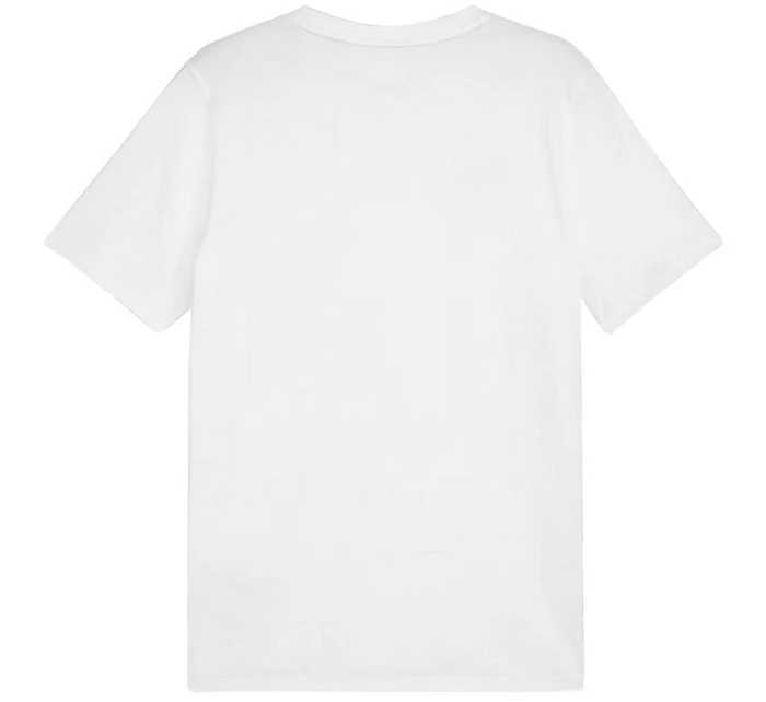 Team Goal Casuals Tee M model 21054529 04 pánské - Puma