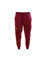 Tepláky Air Jordan Flight MVP - FB7027-619