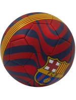 FC Barcelona fotbal 272373 FC Barcelona fotbal 272373