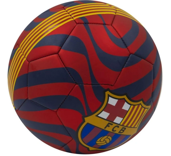 FC Barcelona fotbal 272373 FC Barcelona fotbal 272373