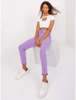 Tepláky RV DR 8835.10 fialová