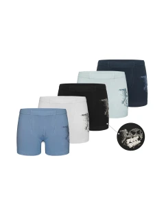 Chlapecké boxerky model 21335399 - Donella